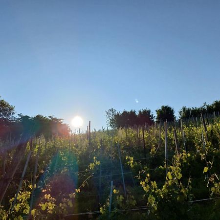 La Briccola Villa Diano dʼAlba Buitenkant foto