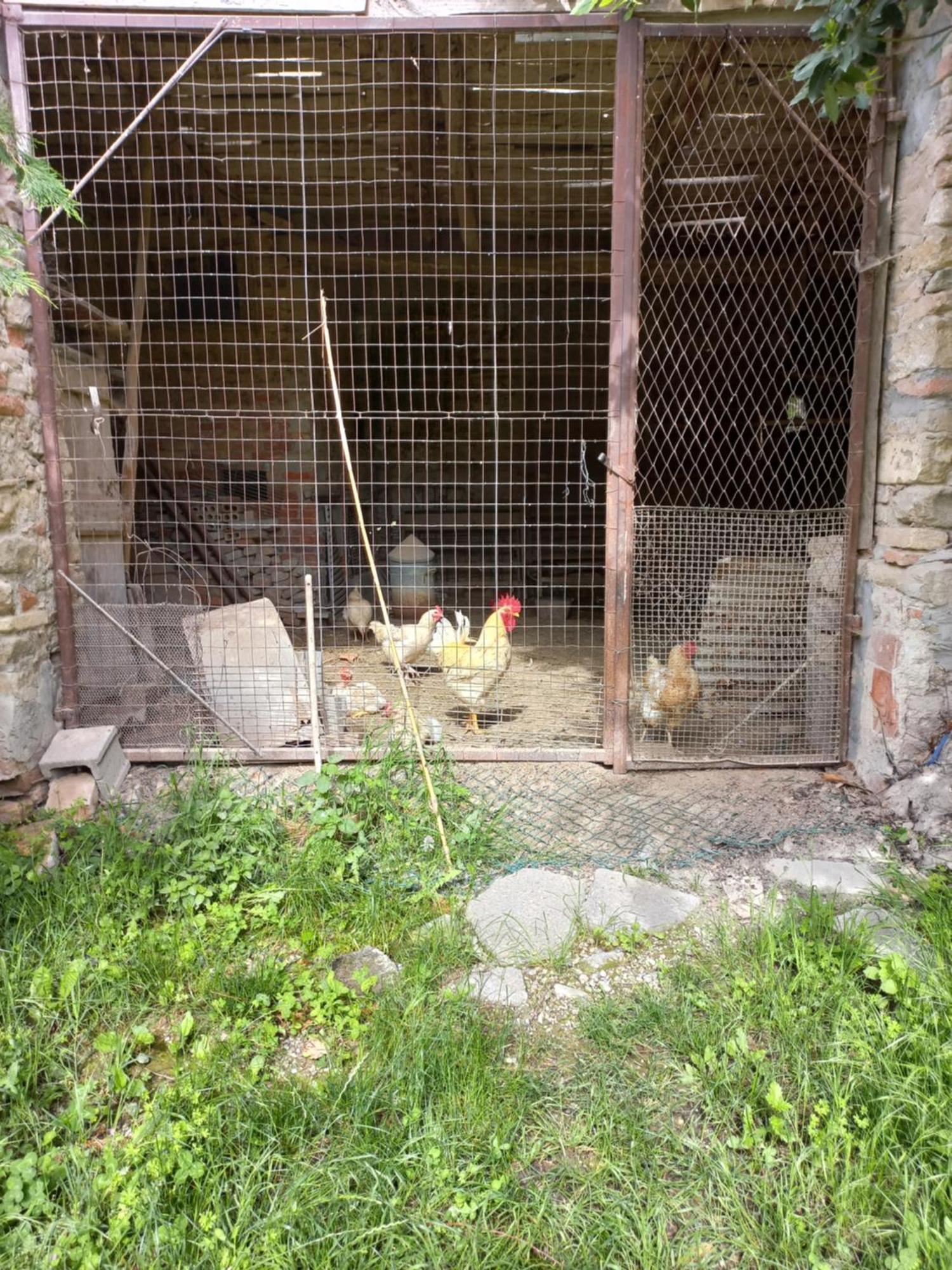 La Briccola Villa Diano dʼAlba Buitenkant foto