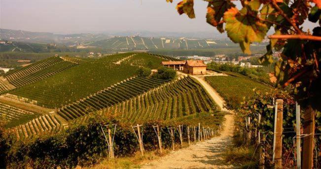 La Briccola Villa Diano dʼAlba Buitenkant foto